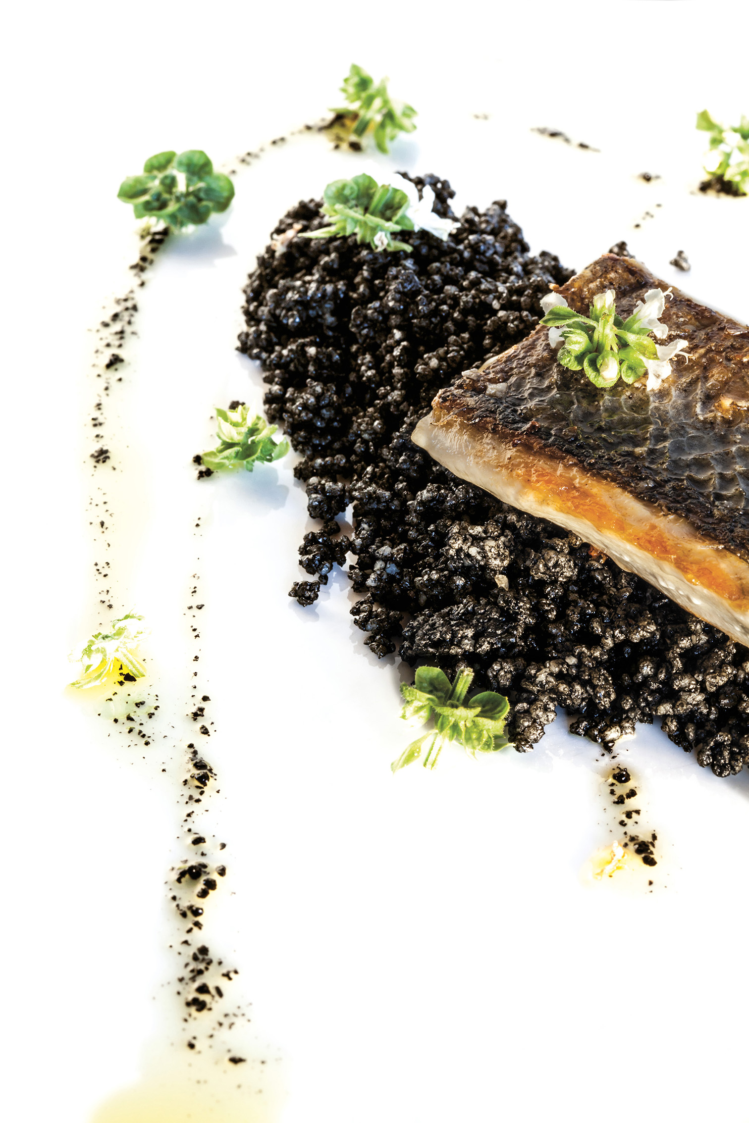 Fotografía gastronómica