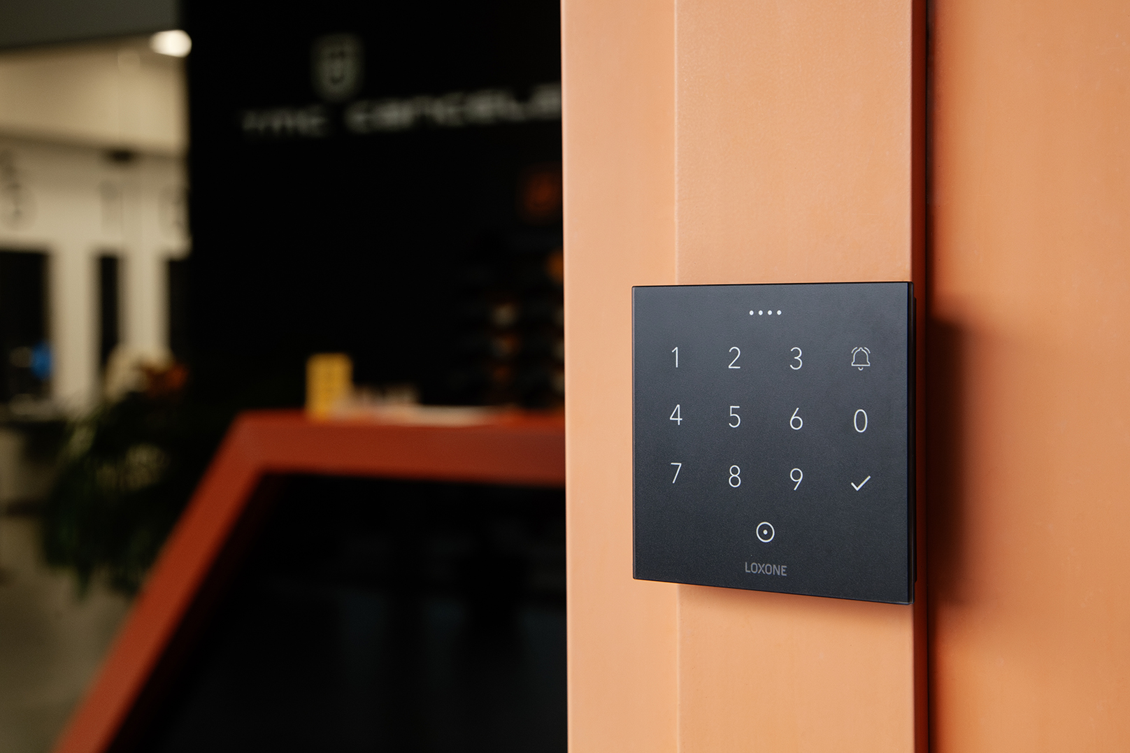 FOTOGRAFÍAS DO PROXECTO TMC CANCELA