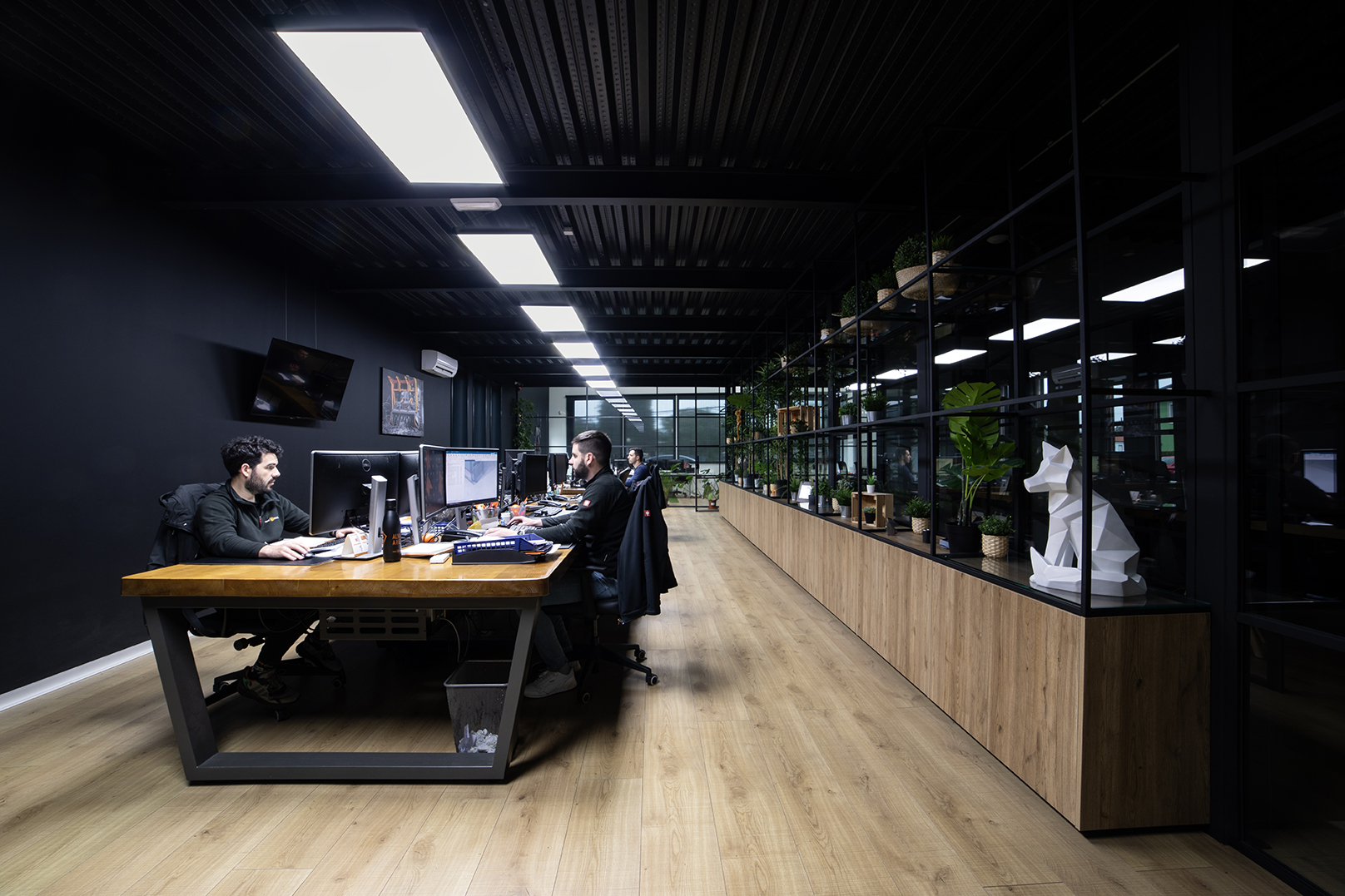 Fotografías do proxecto  TMC Cancela