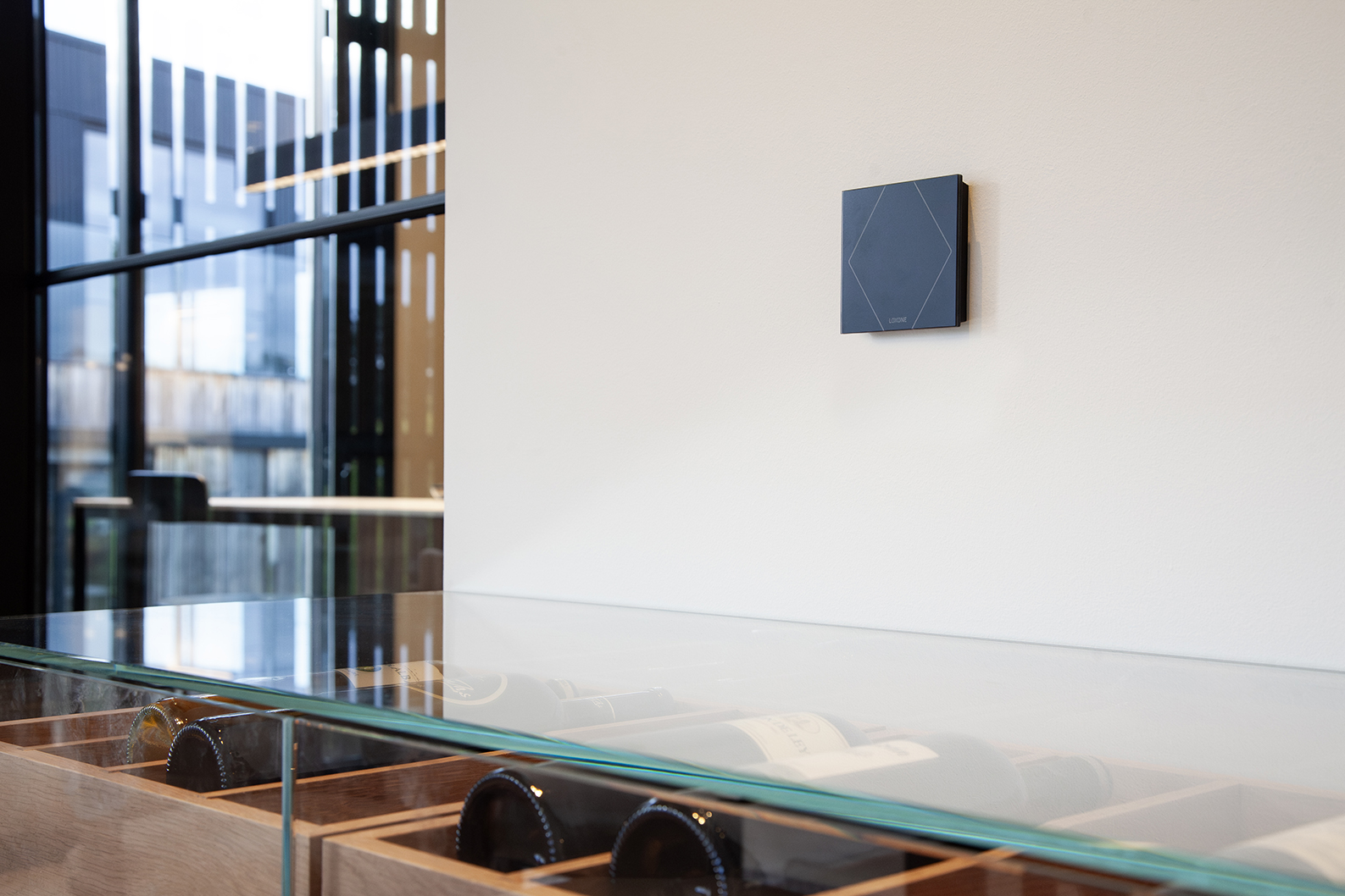 FOTOGRAFÍAS DO PROXECTO PARAÍSO