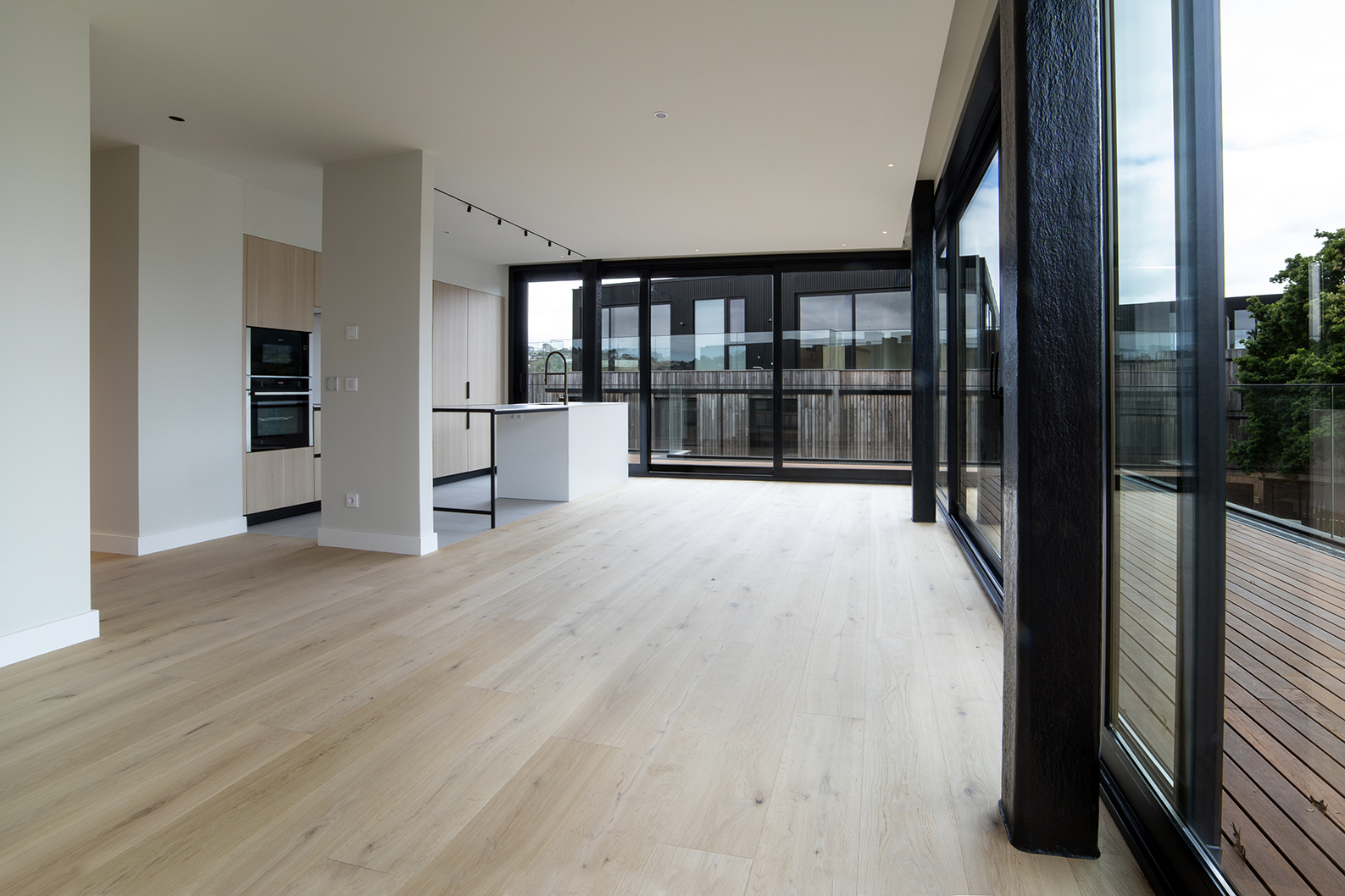 FOTOGRAFÍAS DO PROXECTO PARAÍSO