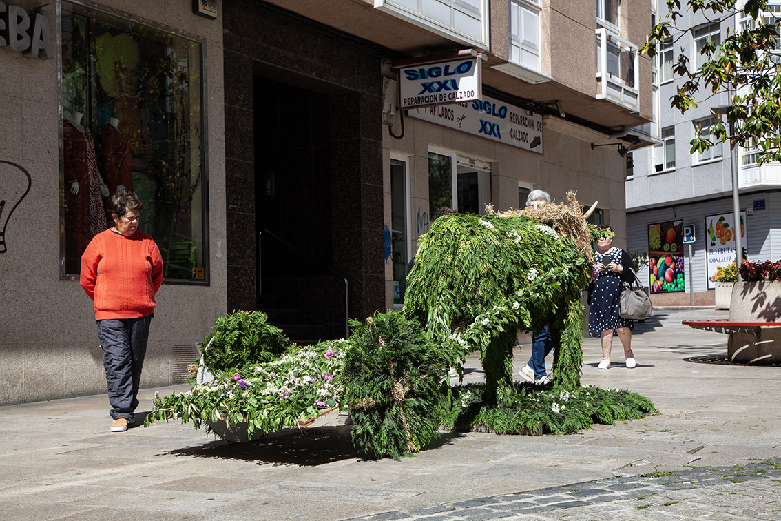 Fotografía festa das flores Arteixo